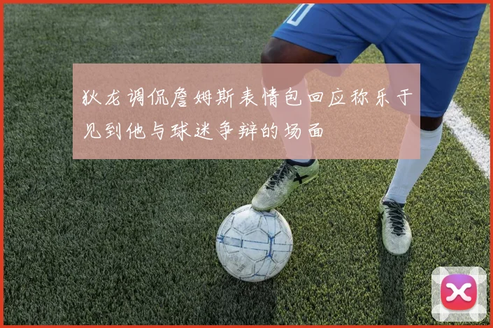 狄龙调侃詹姆斯表情包回应称乐于见到他与球迷争辩的场面